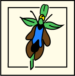 Logo de la commune de Montceaux-Ragny, une fleur d'orchidée stylisée